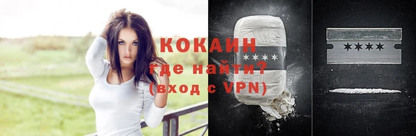 мдпв Козельск