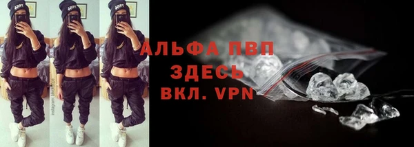 индика Кодинск