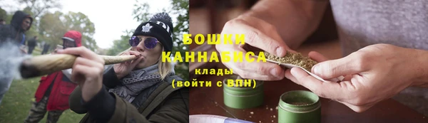 мдпв Козельск