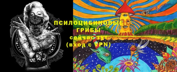 кокс Козловка