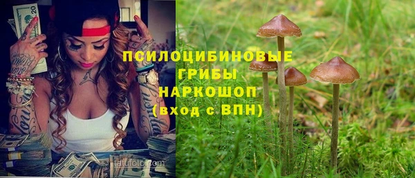 a pvp Губаха