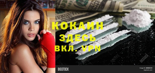 индика Кодинск